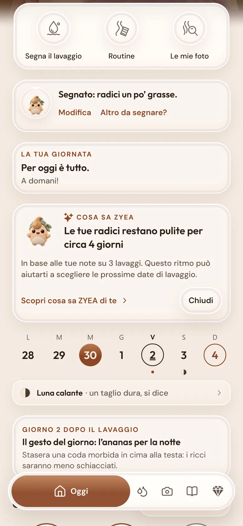 Una scheda della schermata Oggi: ZYEA ha imparato che le radici resistono circa 4 giorni.